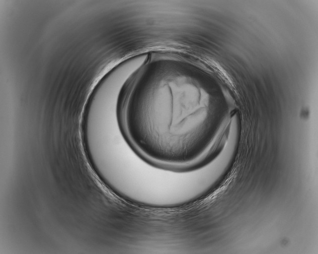 X0000098010893200804181132