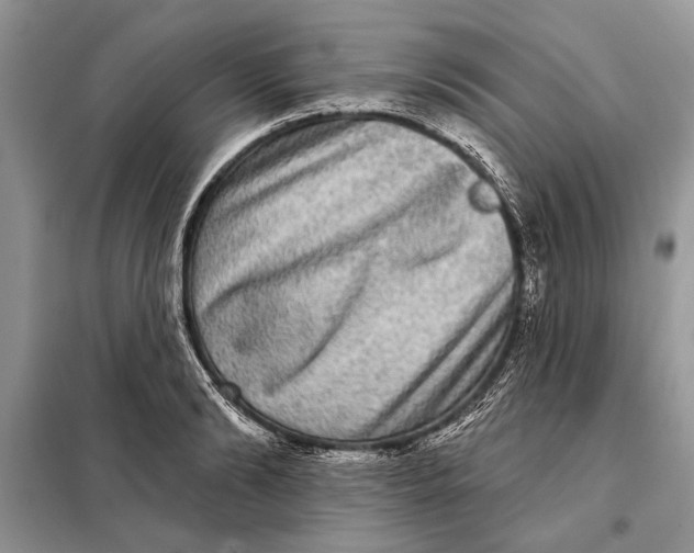 X0000098010894200804181132