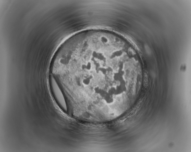 X0000098010895200804181132