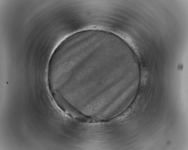 X0000098010896200804181132