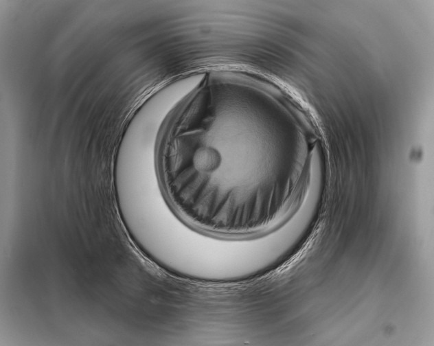 X0000098010897200804181132