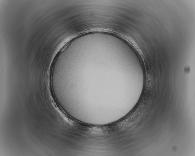 X0000098010898200804181132