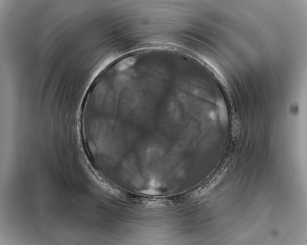 X0000098010899200804181132