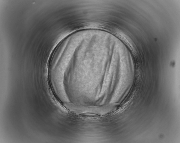 X0000098010900200804181132