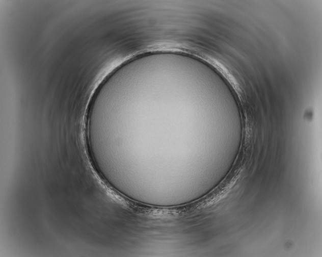 X0000098010901200804181132