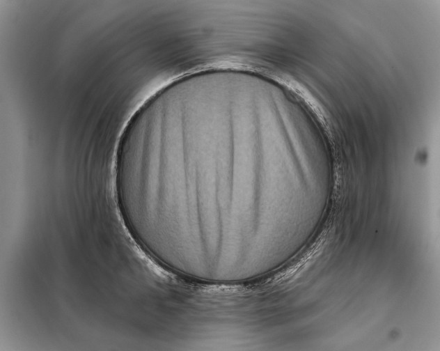 X0000098010902200804181132