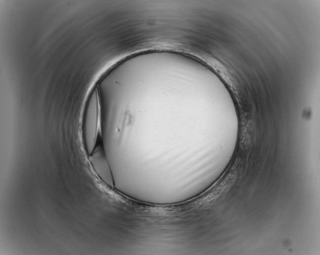 X0000098010904200804181132