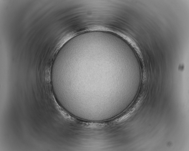 X0000098010905200804181132