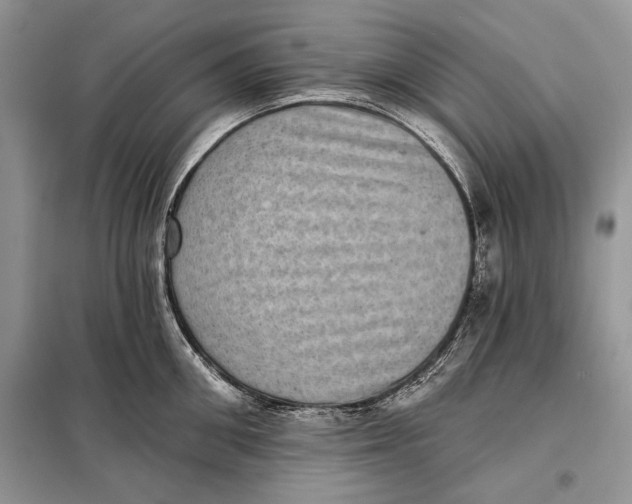 X0000098010906200804181132