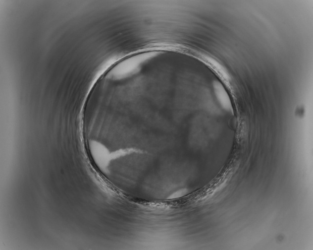 X0000098010907200804181132