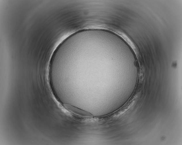 X0000098010909200804181132