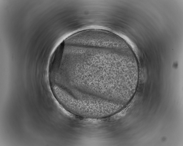 X0000098010910200804181132