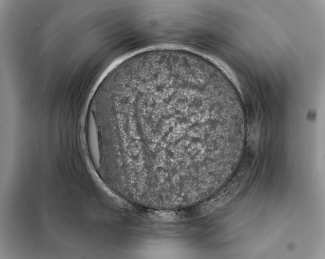 X0000098010911200804181132