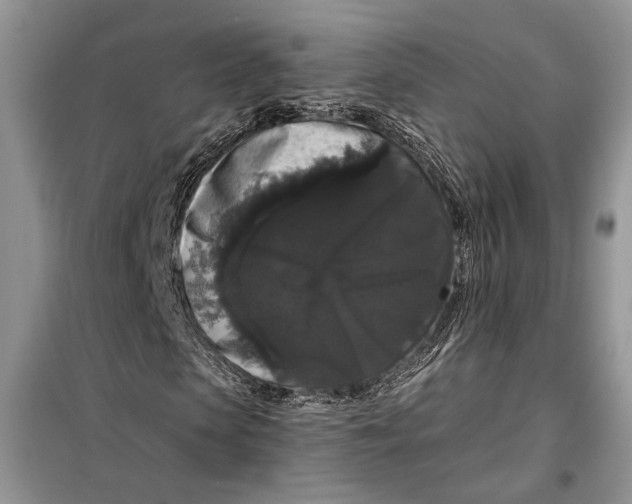 X0000098010913200804181131