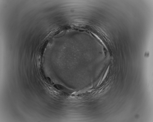 X0000098010915200804181131