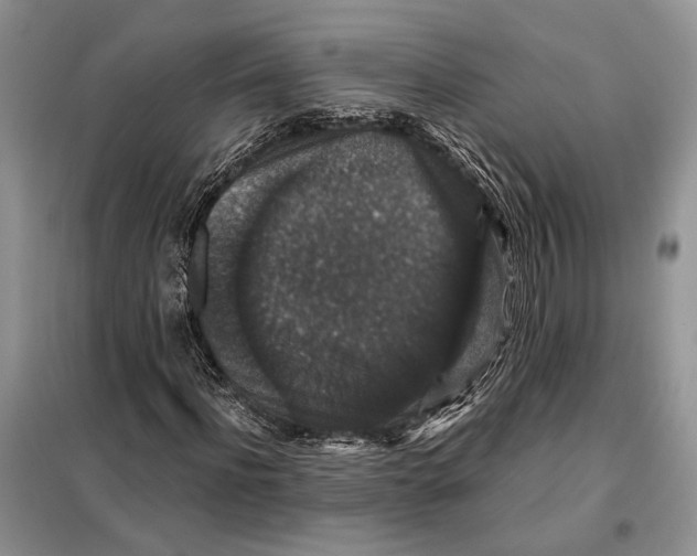 X0000098010916200804181131