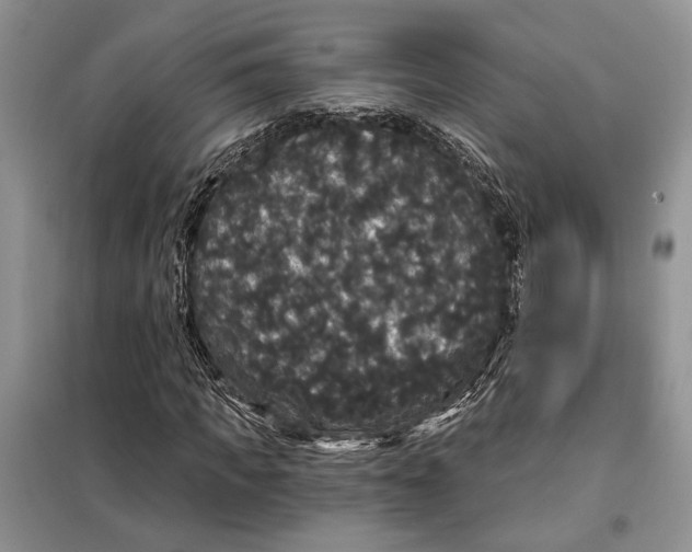 X0000098010917200804181131