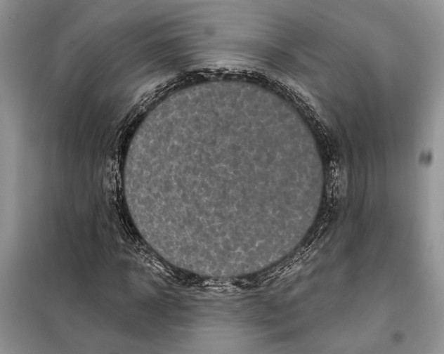 X0000098010918200804181131