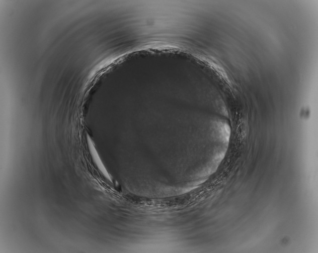 X0000098010920200804181131