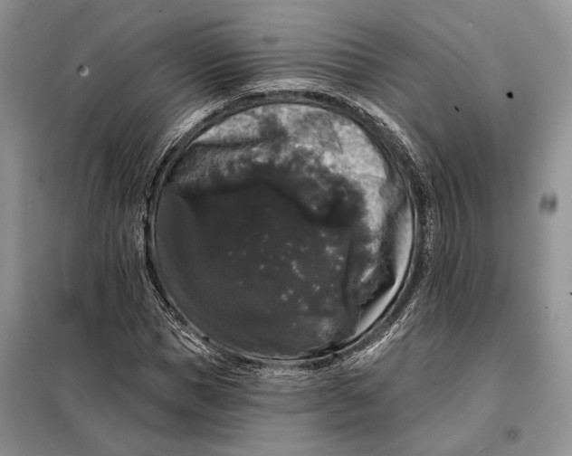 X0000098010921200804181131