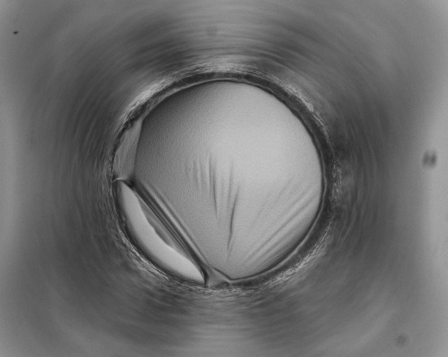 X0000098010922200804181131