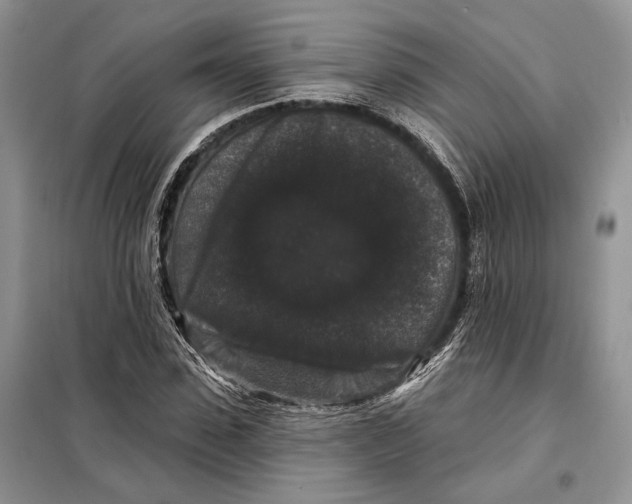 X0000098010923200804181131