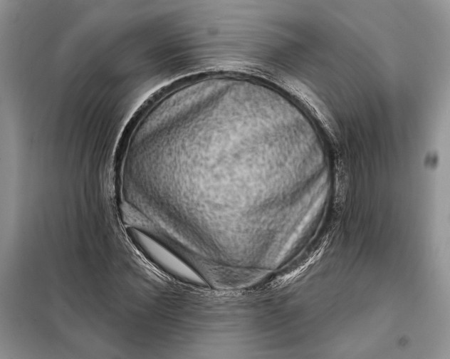 X0000098010924200804181131