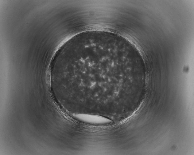 X0000098010925200804181131