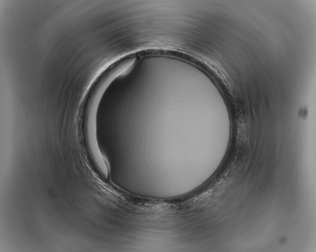 X0000098010926200804181131