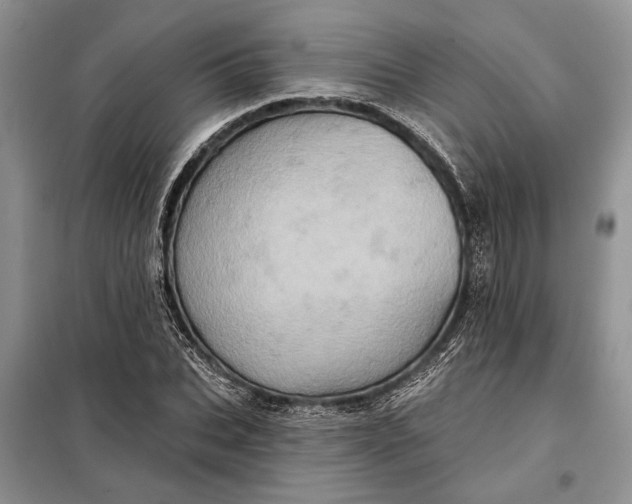 X0000098010927200804181131