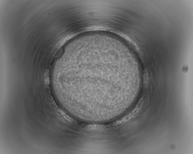 X0000098010929200804181131