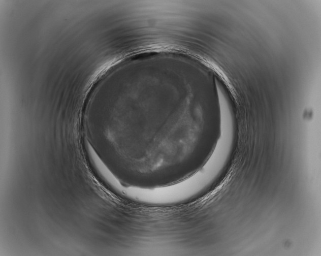 X0000098010930200804181131