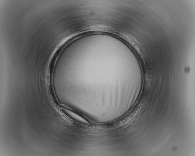 X0000098010931200804181131