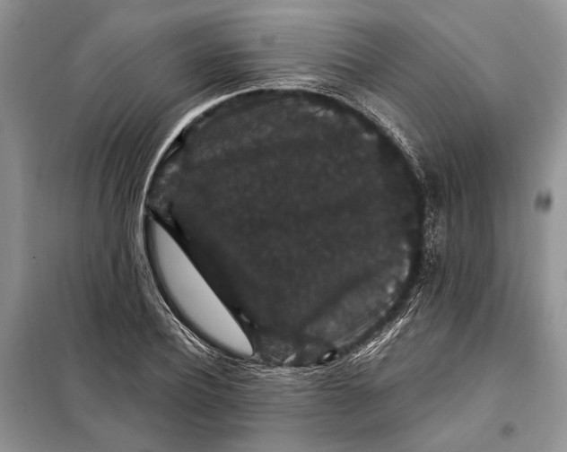 X0000098010932200804181131