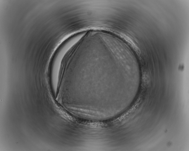 X0000098010934200804181131