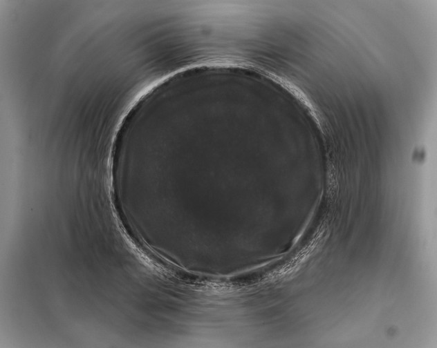 X0000098010935200804181131