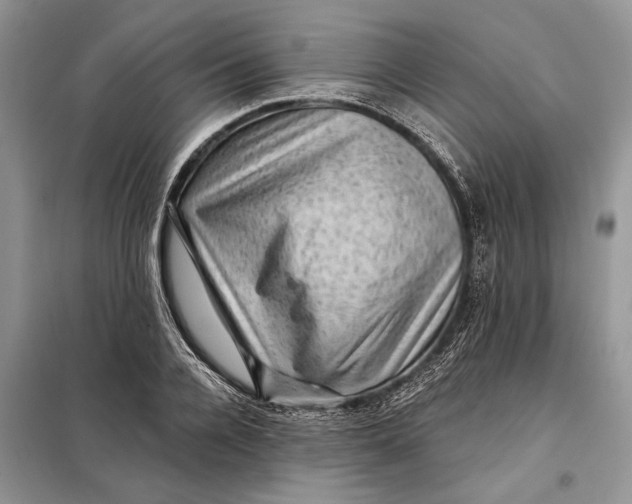 X0000098010936200804181131