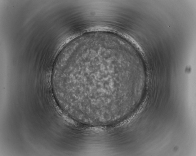 X0000098010937200804181131