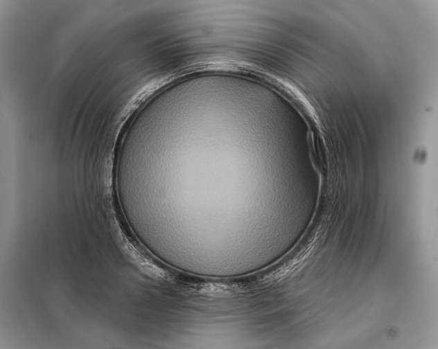 X0000098010938200804181131