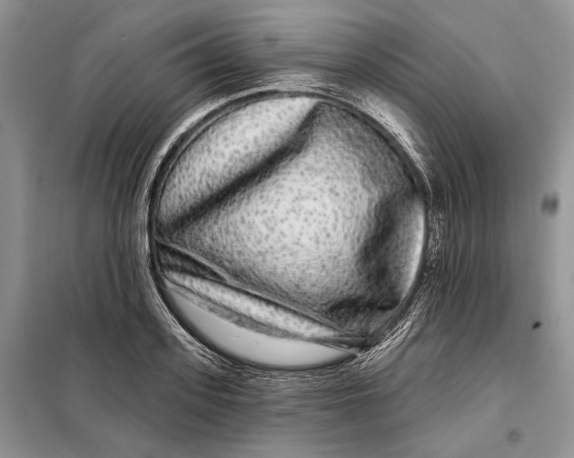 X0000098010939200804181131