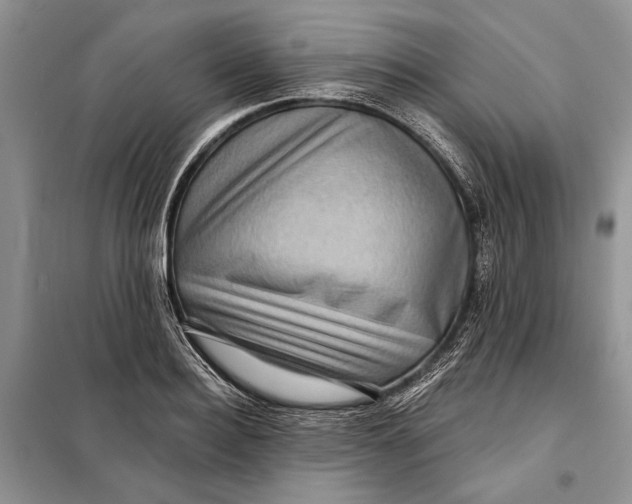 X0000098010940200804181131