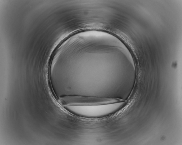 X0000098010941200804181131