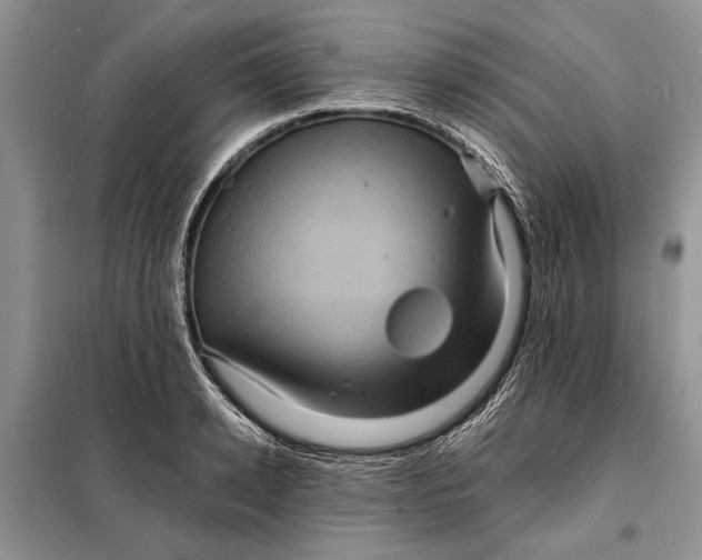 X0000098010942200804181131