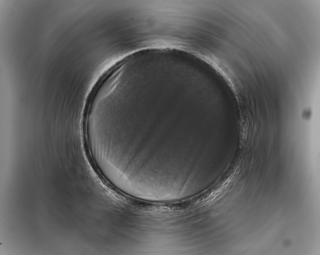 X0000098010943200804181131