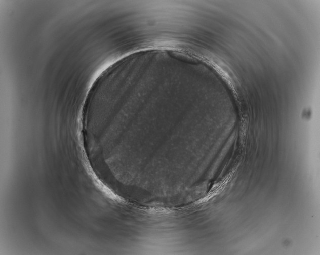 X0000098010944200804181131