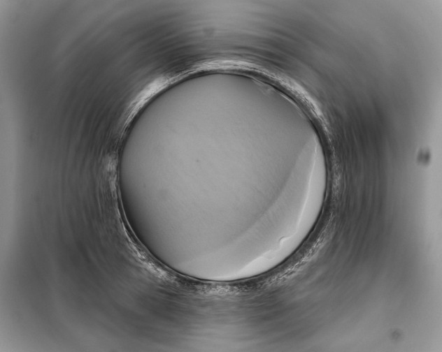 X0000098010945200804181131