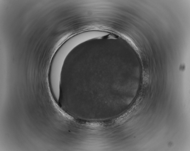 X0000098010946200804181131