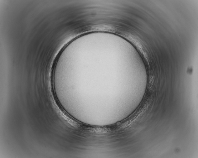 X0000098010947200804181131