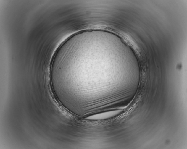 X0000098010948200804181131