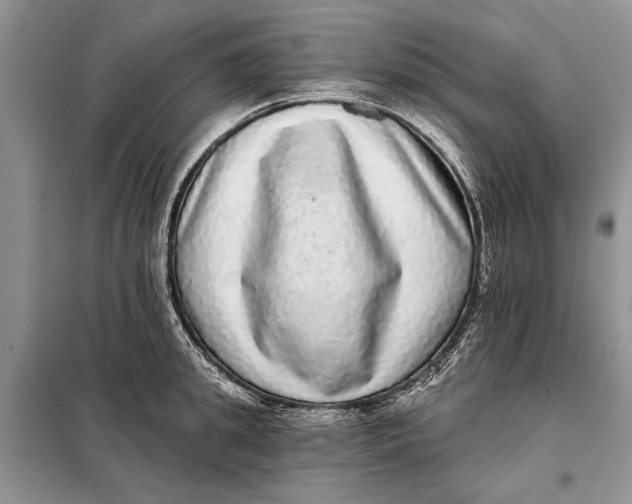 X0000098010949200804181131